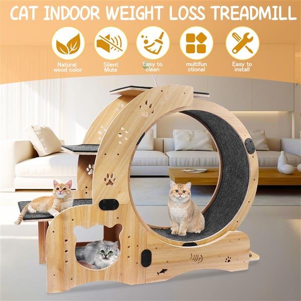 Cat Wheel 6-in-1 Cat Sports Wheel, Upgraded Indoor Cat Wheel Sports Device