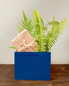 5PCS Nordic Blue Gift Bags with Ribbon Handles 9.6"x7.9"x4.3" Medium Size Gift Bags (10PCS Tissue Paper included, Medium Wide)